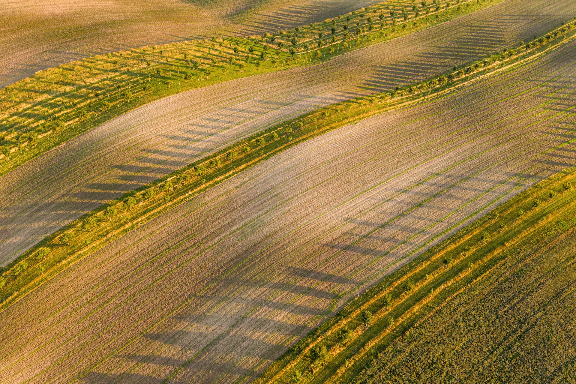 Bando ISI Inail 2024 – Agricoltura asse 5